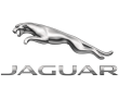 jaguar for sale